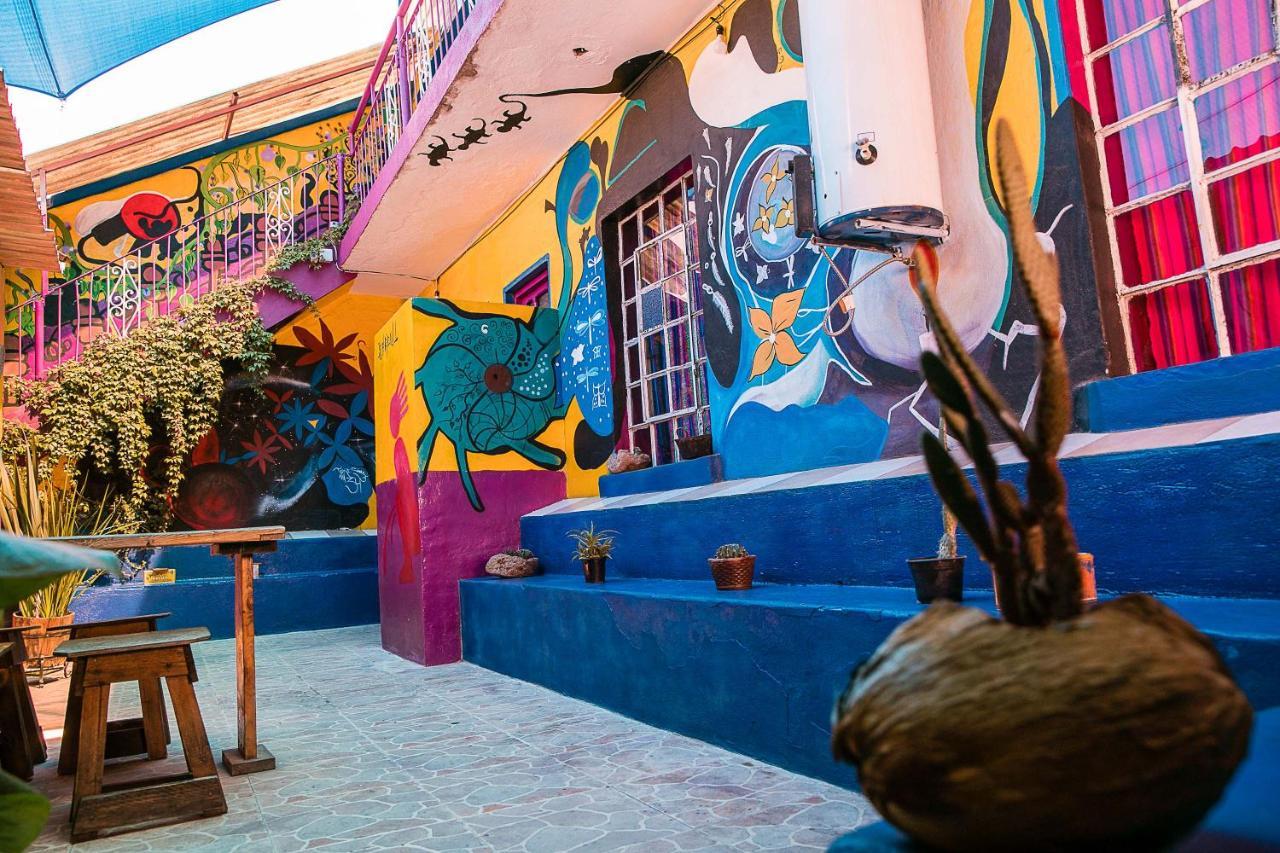 hostal chesal San Luis Potosí Esterno foto