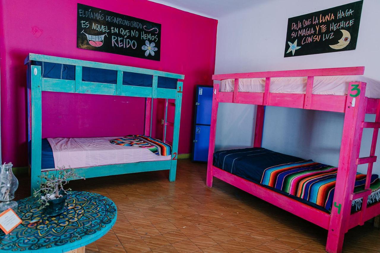 hostal chesal San Luis Potosí Esterno foto