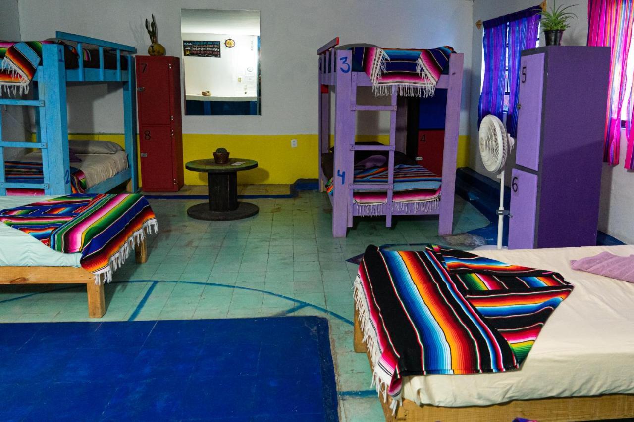 hostal chesal San Luis Potosí Esterno foto
