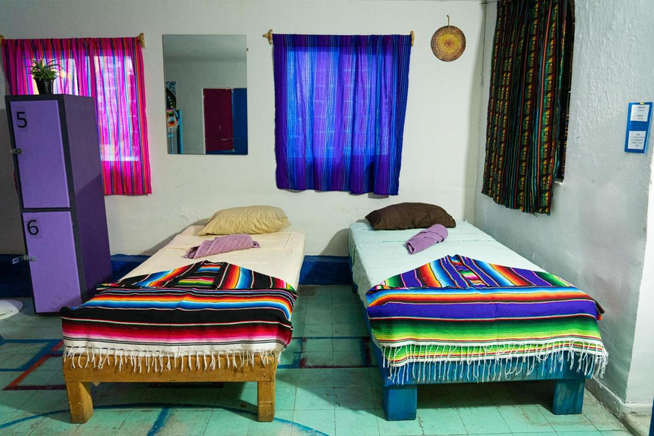 hostal chesal San Luis Potosí Esterno foto
