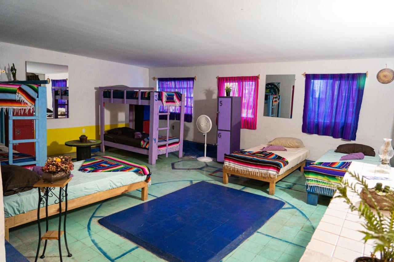 hostal chesal San Luis Potosí Esterno foto
