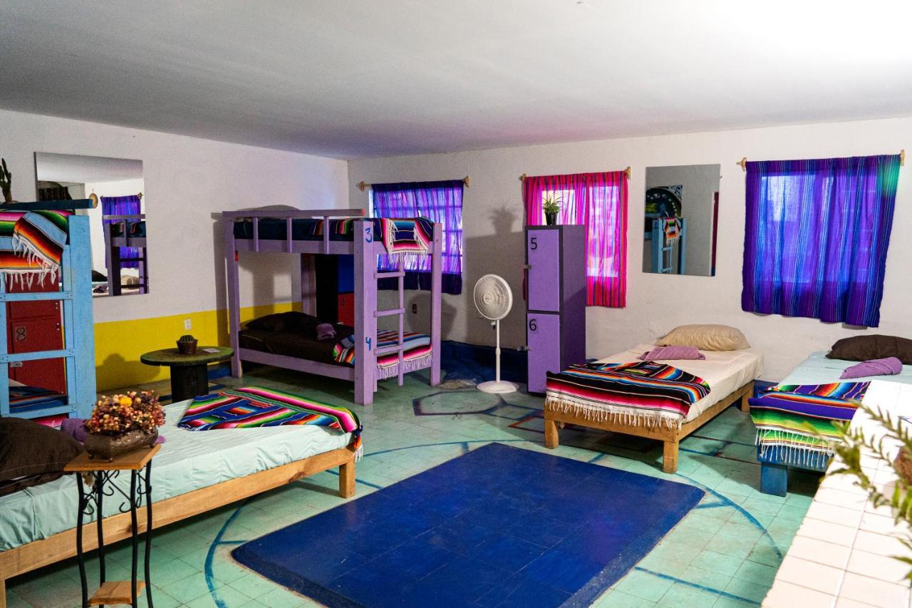 hostal chesal San Luis Potosí Esterno foto